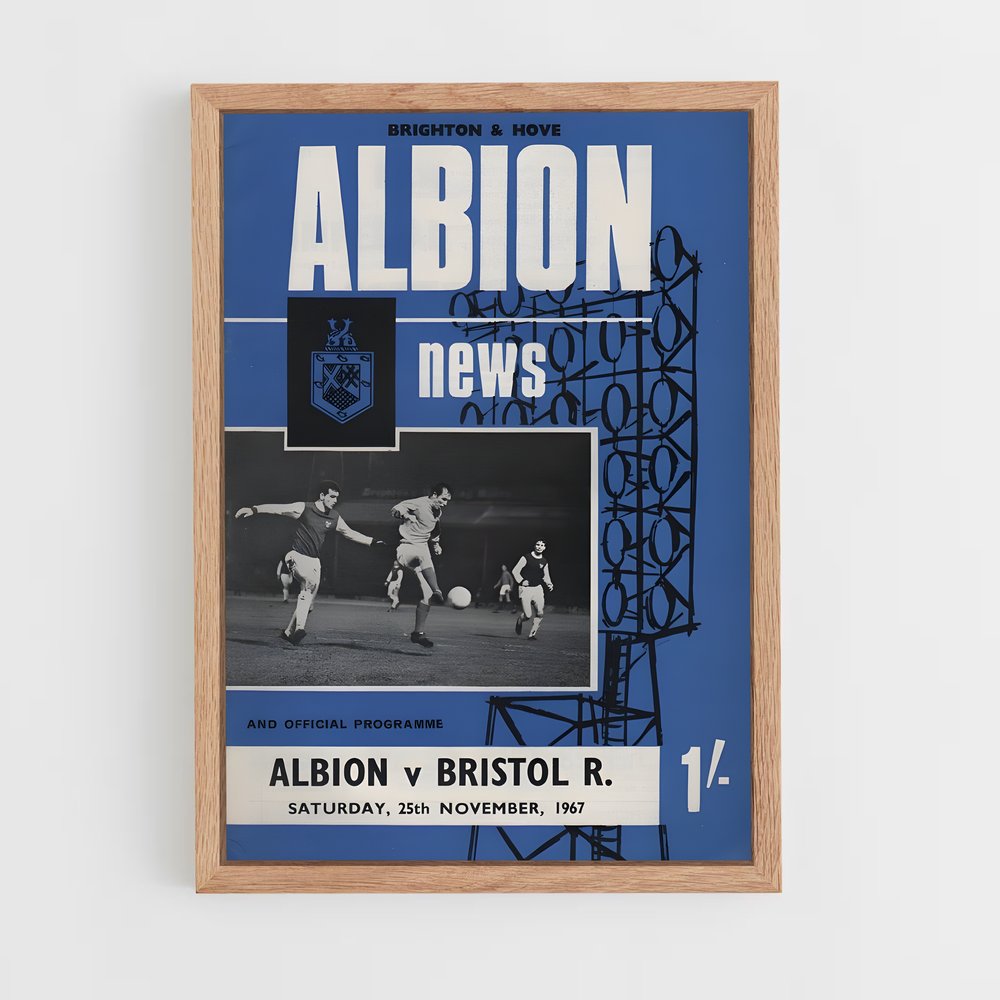 ap-brighton hove albion fc-12 cadre Bois clair