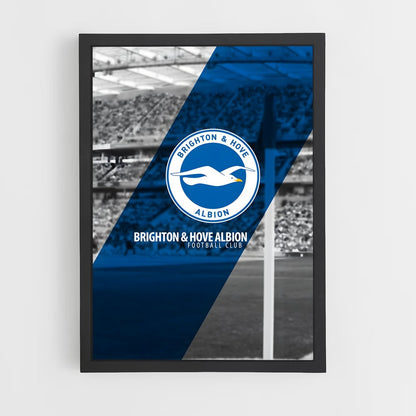 ap-brighton hove albion fc-2 cadre Noir