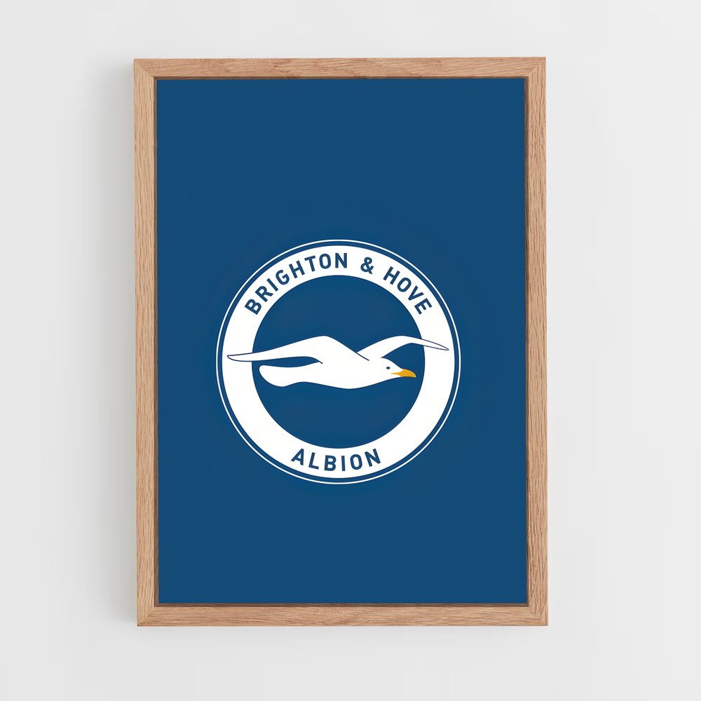 ap-brighton hove albion fc-4 cadre Bois clair