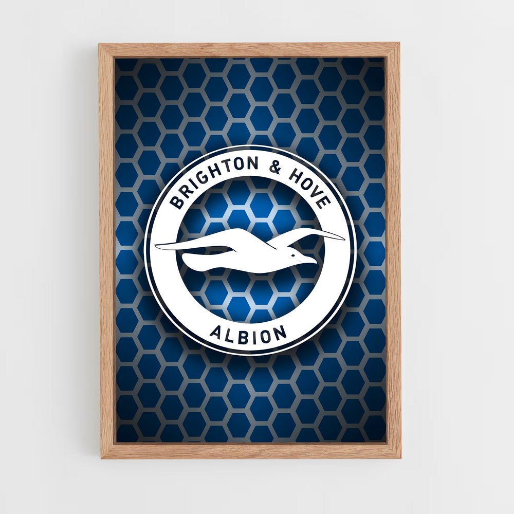 ap-brighton hove albion fc-5 cadre Bois clair