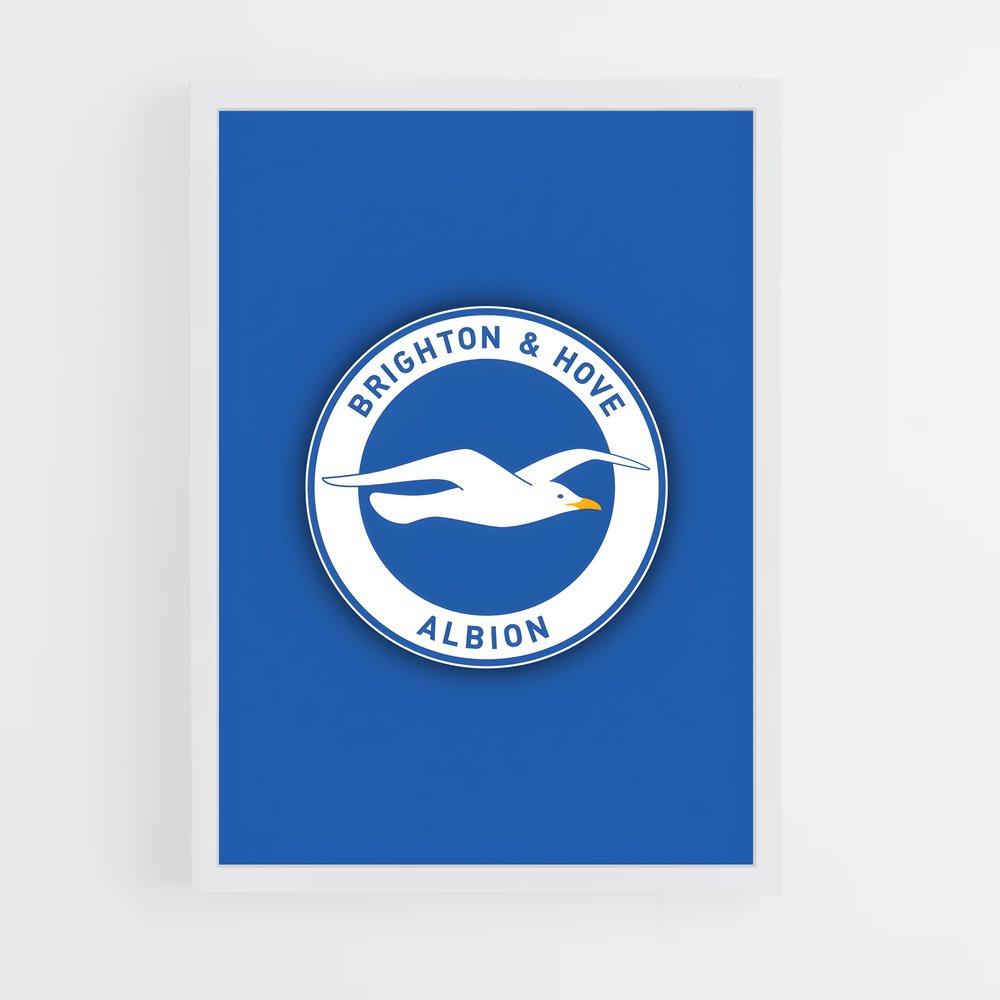 ap-brighton hove albion fc-6 cadre Blanc