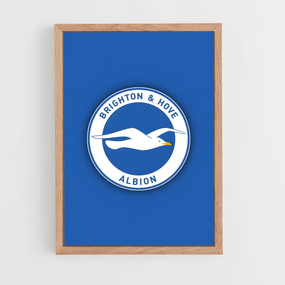 ap-brighton hove albion fc-6 cadre Bois clair