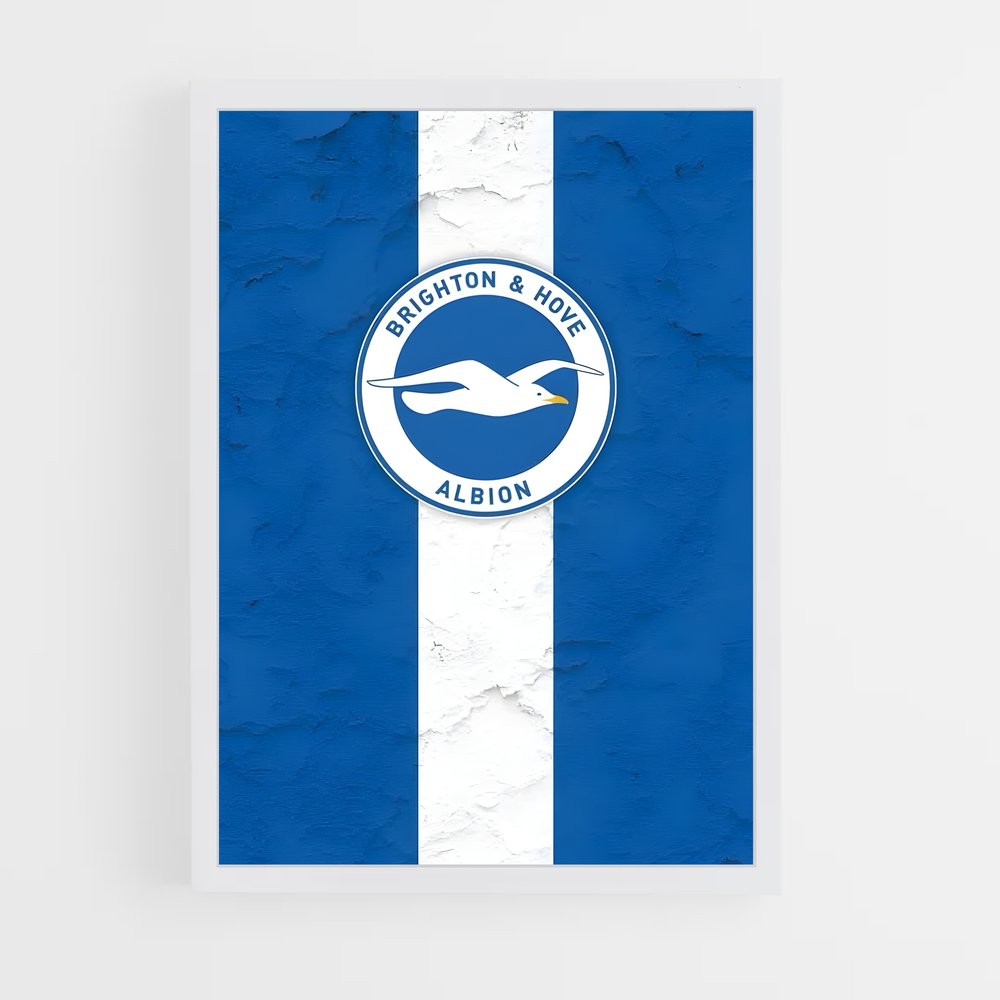ap-brighton hove albion fc-8 cadre Blanc