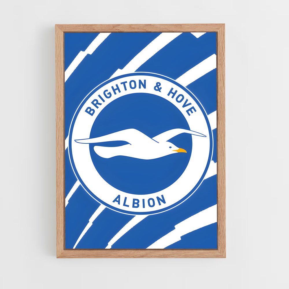 ap-brighton hove albion fc-9 cadre Bois clair