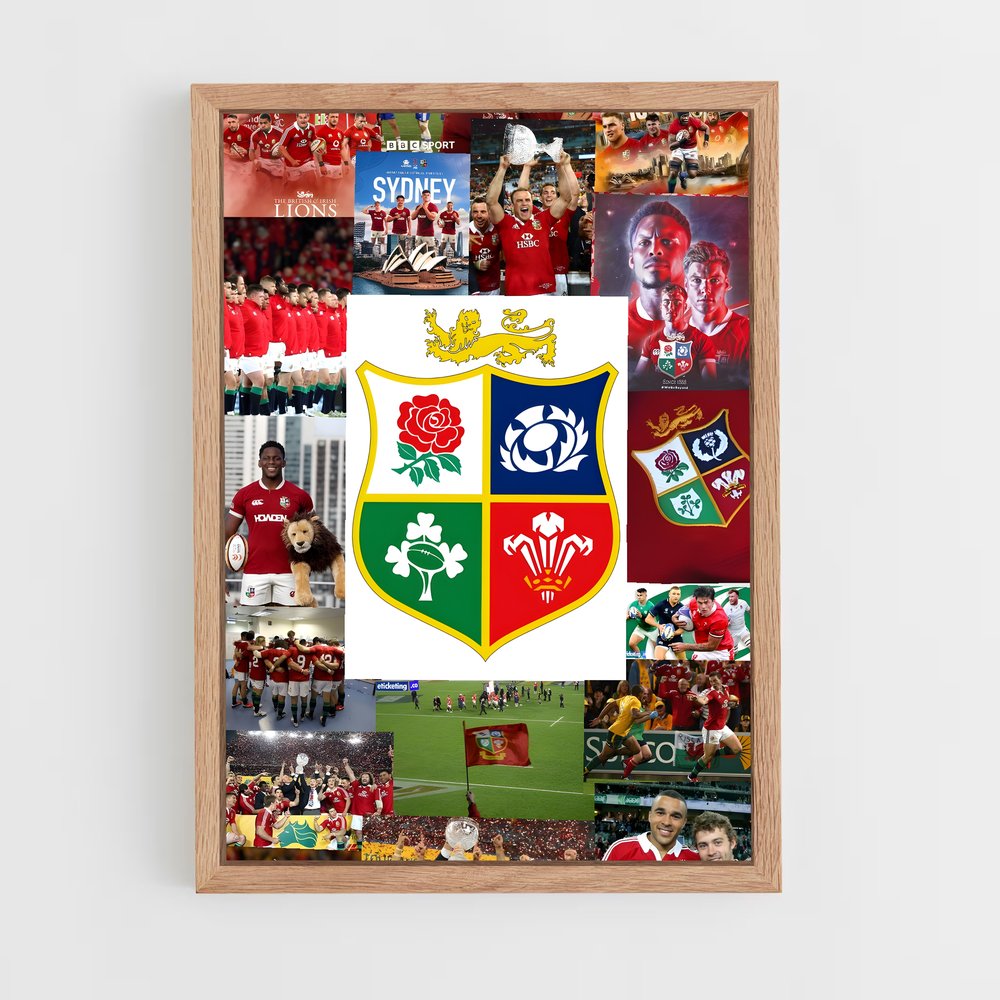 ap-british and irish lions-2 cadre Bois clair