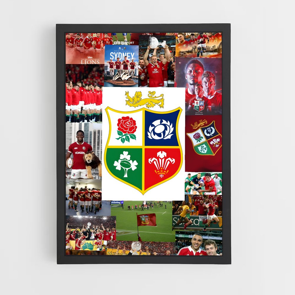 ap-british and irish lions-2 cadre Noir