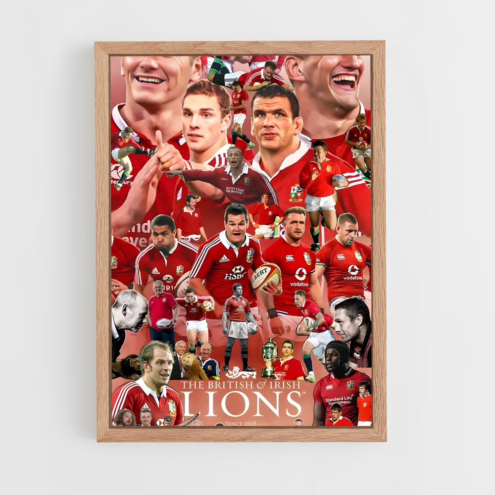 ap-british and irish lions-3 cadre Bois clair