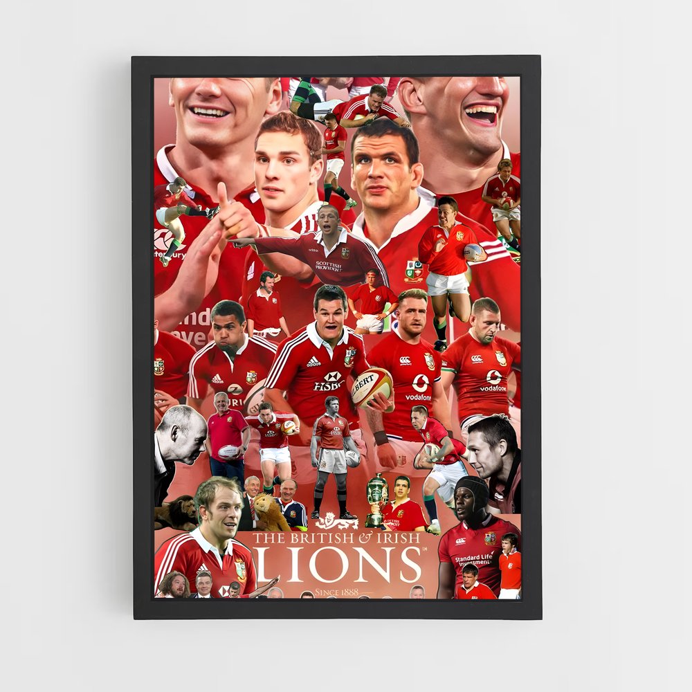 ap-british and irish lions-3 cadre Noir