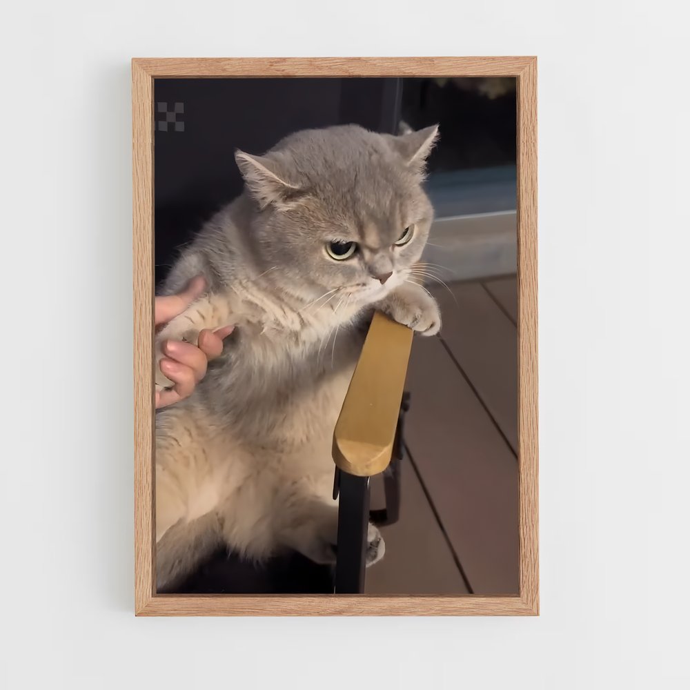ap-british shorthair-2 cadre Bois clair