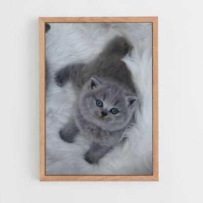 ap-british shorthair-7 cadre Bois clair