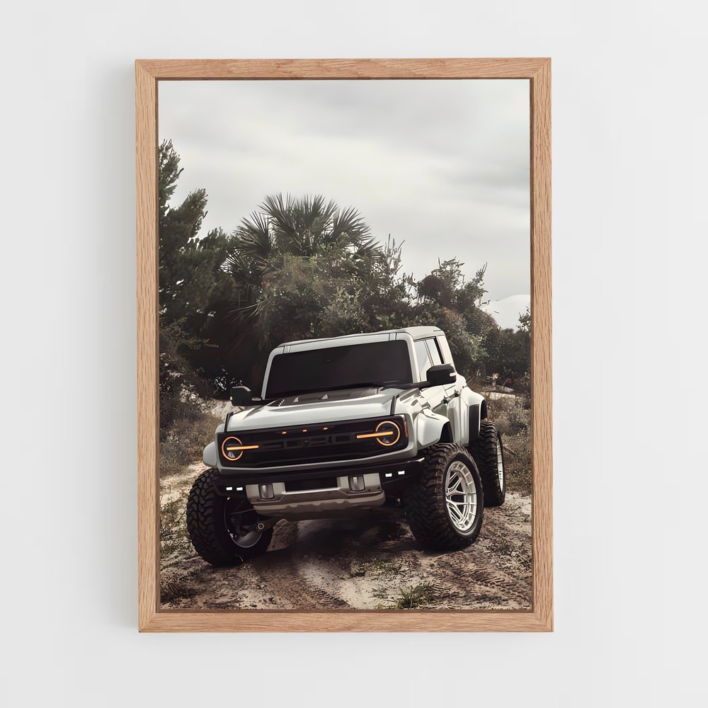 ap-bronco raptor-3 cadre Bois clair