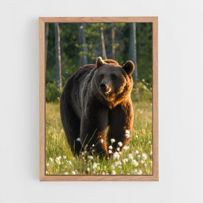ap-brown bear-1 cadre Bois clair