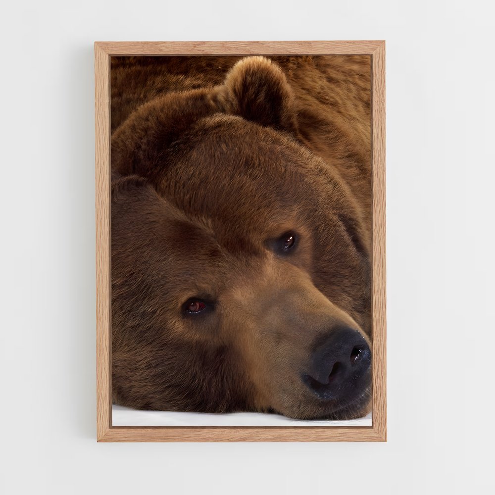 ap-brown bear-4 cadre Bois clair
