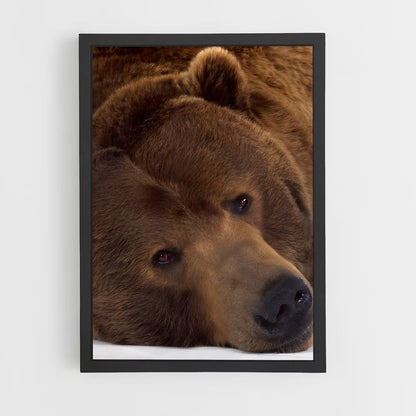 ap-brown bear-4 cadre Noir