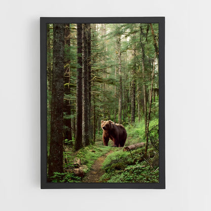 ap-brown bear-6 cadre Noir