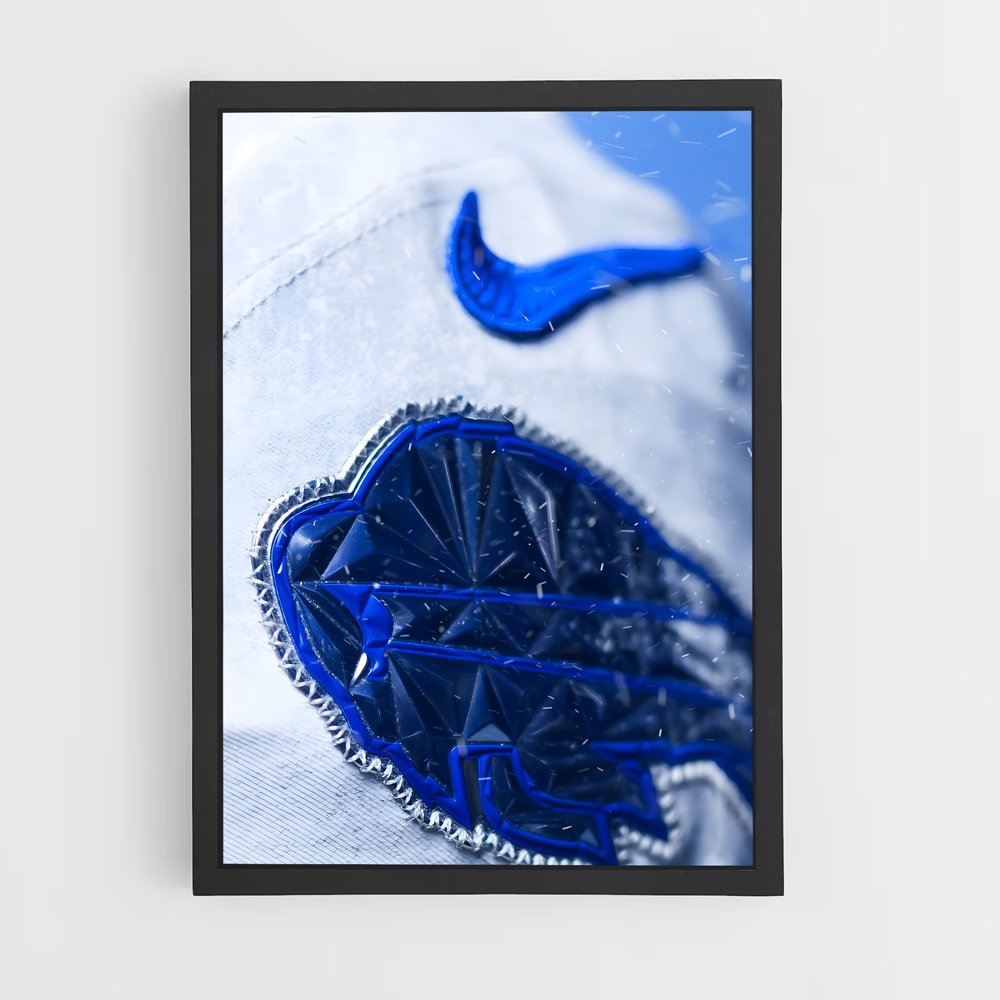 ap-buffalo bills-5 cadre Noir