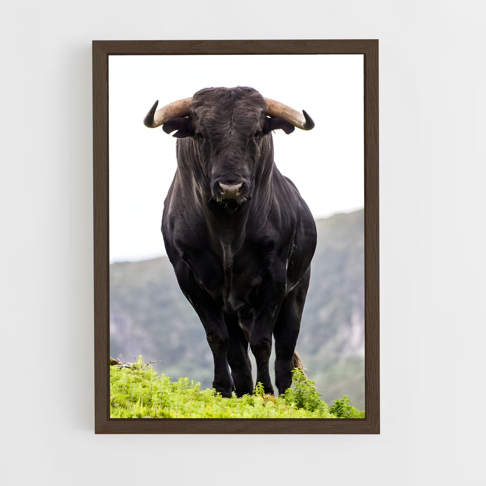 ap-bull-3 cadre Bois foncé