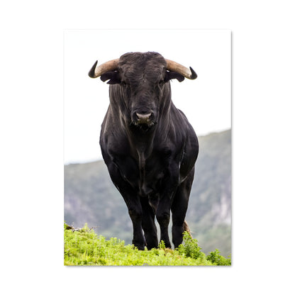 Poster La Vache Émeraude