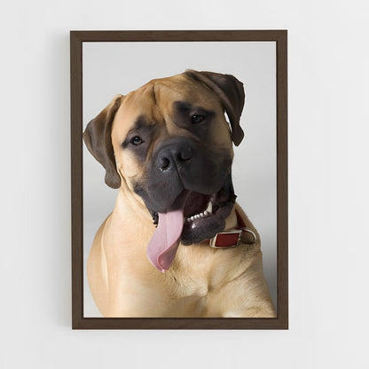 ap-bullmastiff-3 cadre Bois foncé