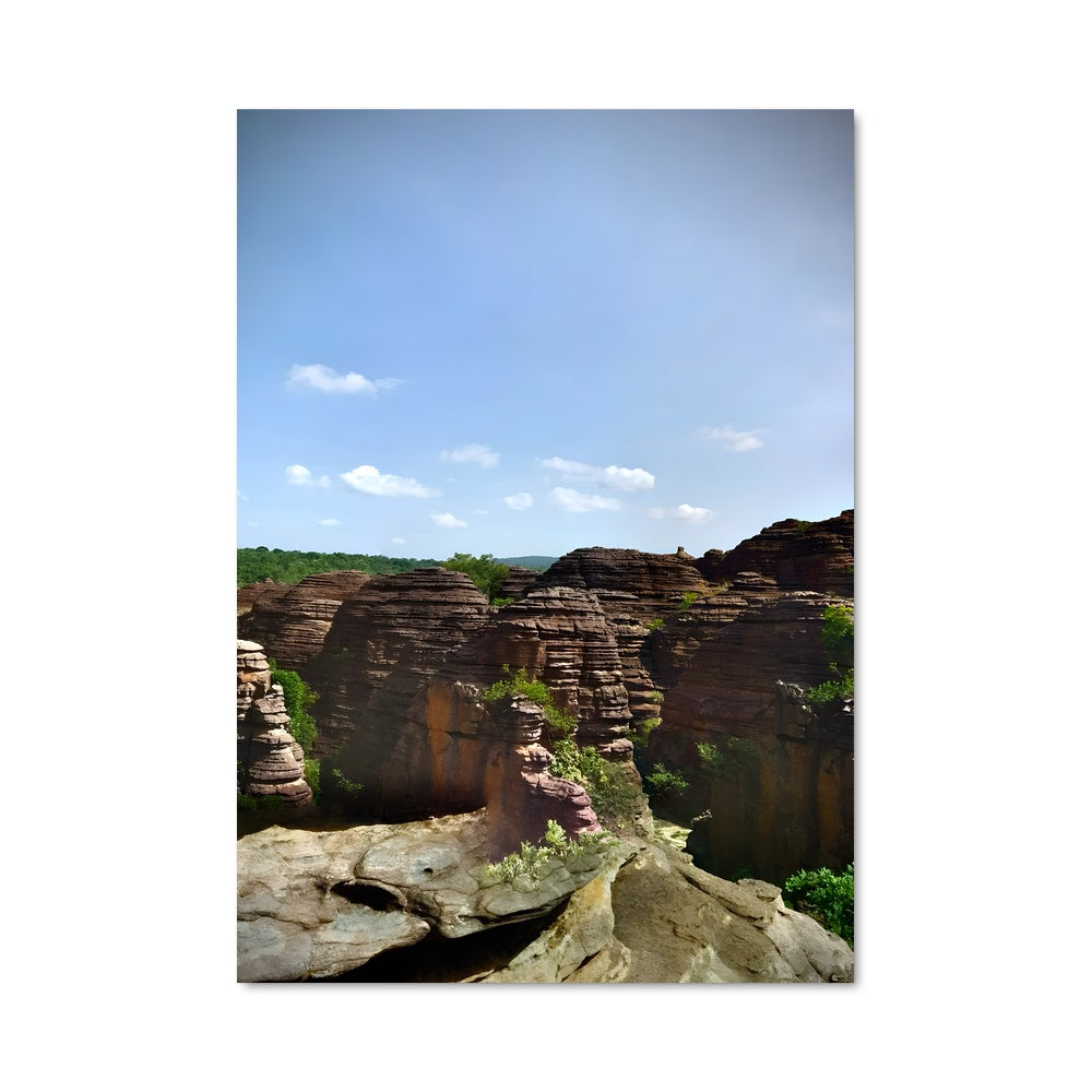 Poster Les Cimes de la Savane