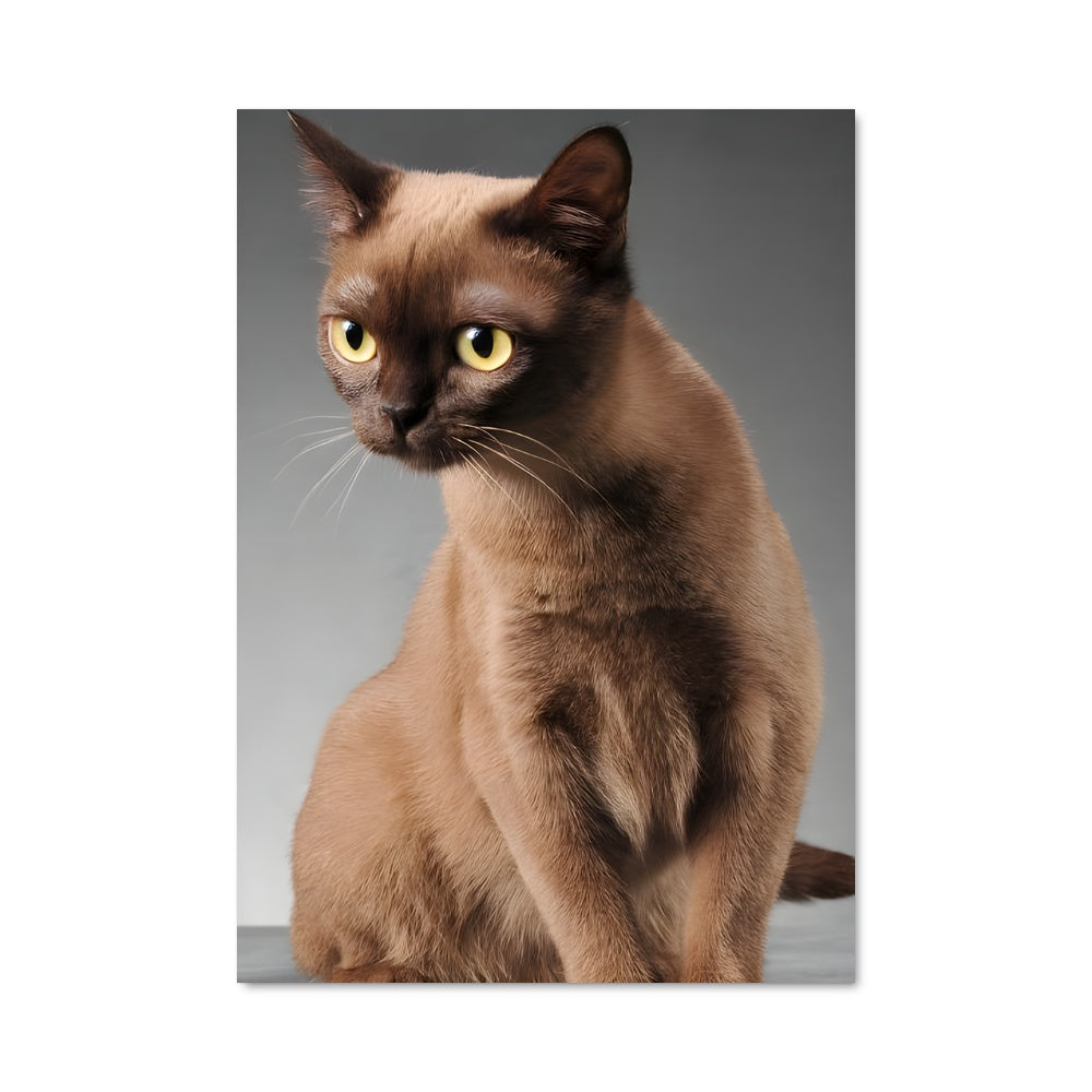 Poster Yeux de Topaze