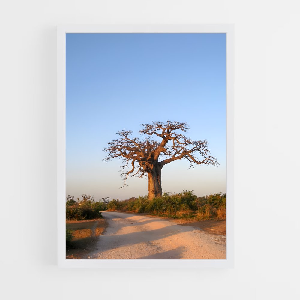 ap-burundi-7 cadre Blanc