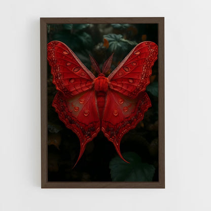ap-butterfly-10 cadre Bois foncé
