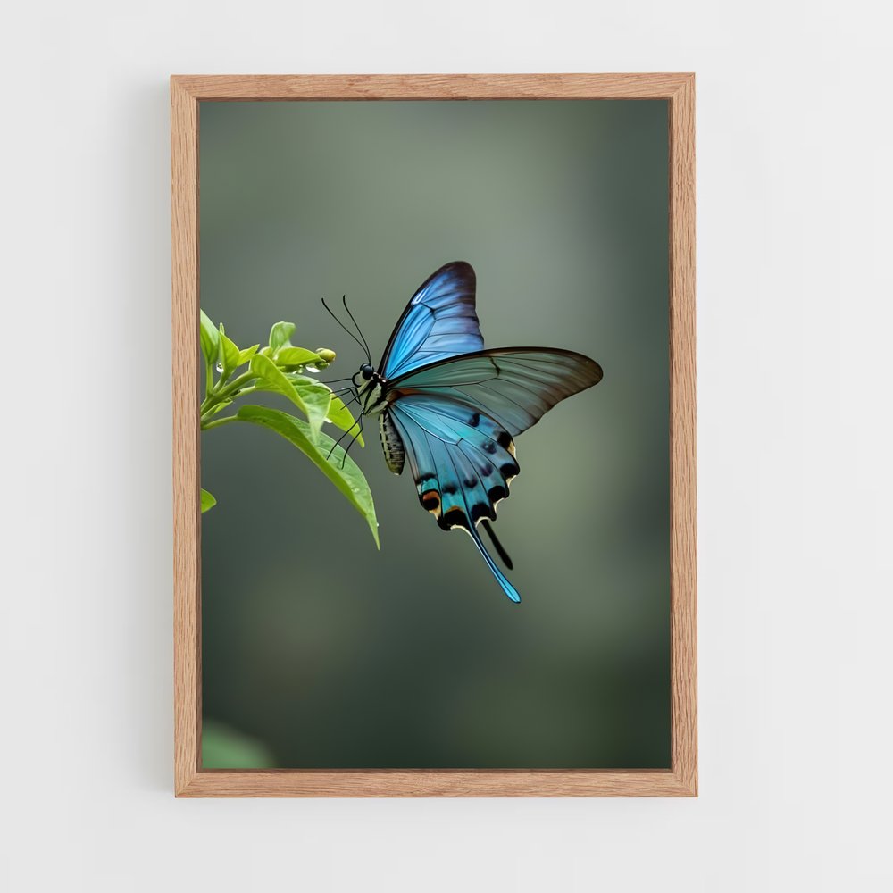 ap-butterfly-13 cadre Bois clair