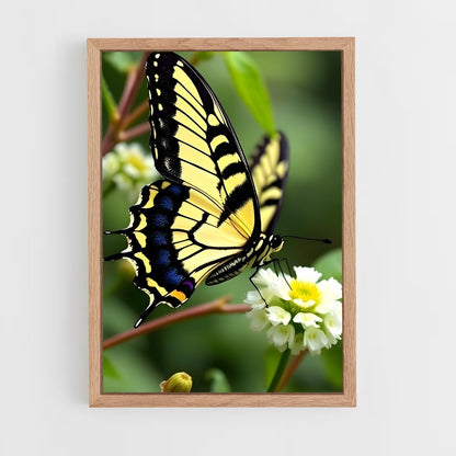 ap-butterfly-14 cadre Bois clair