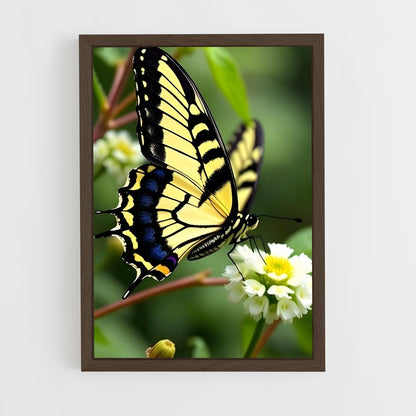 ap-butterfly-14 cadre Bois foncé