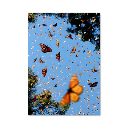 Poster Butterfly 83243