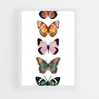 ap-butterfly-16 cadre Blanc