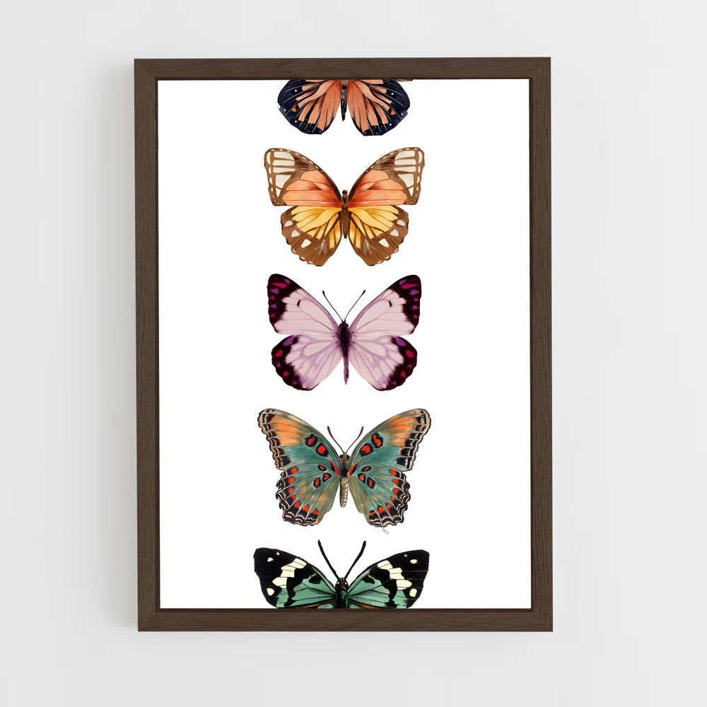 ap-butterfly-16 cadre Bois foncé