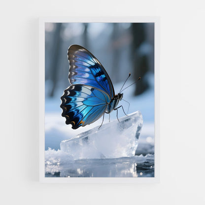 ap-butterfly-19 cadre Blanc