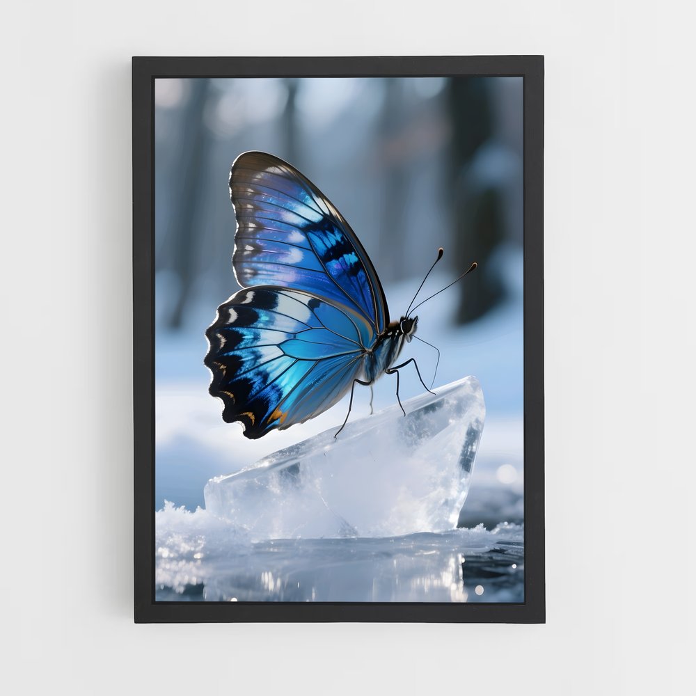 ap-butterfly-19 cadre Noir