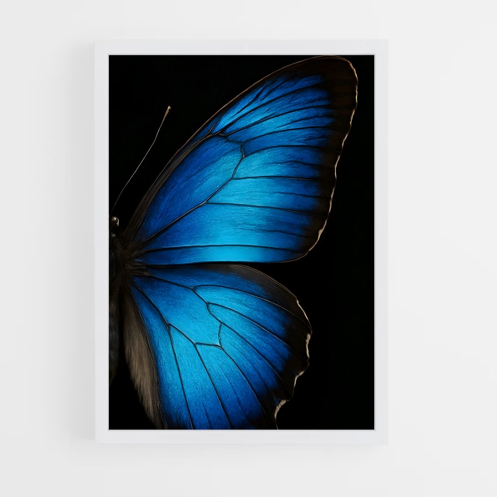 ap-butterfly-7 cadre Blanc