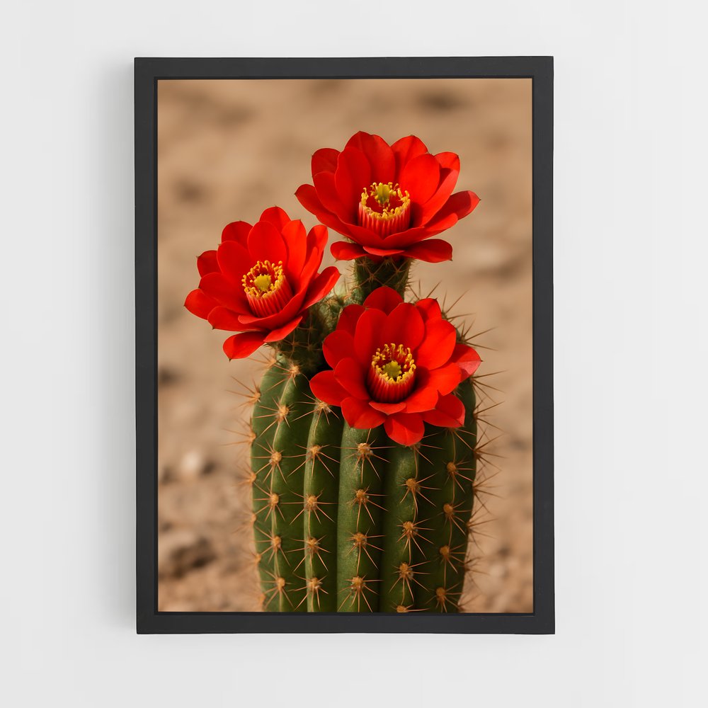 ap-cactus-2 cadre Noir