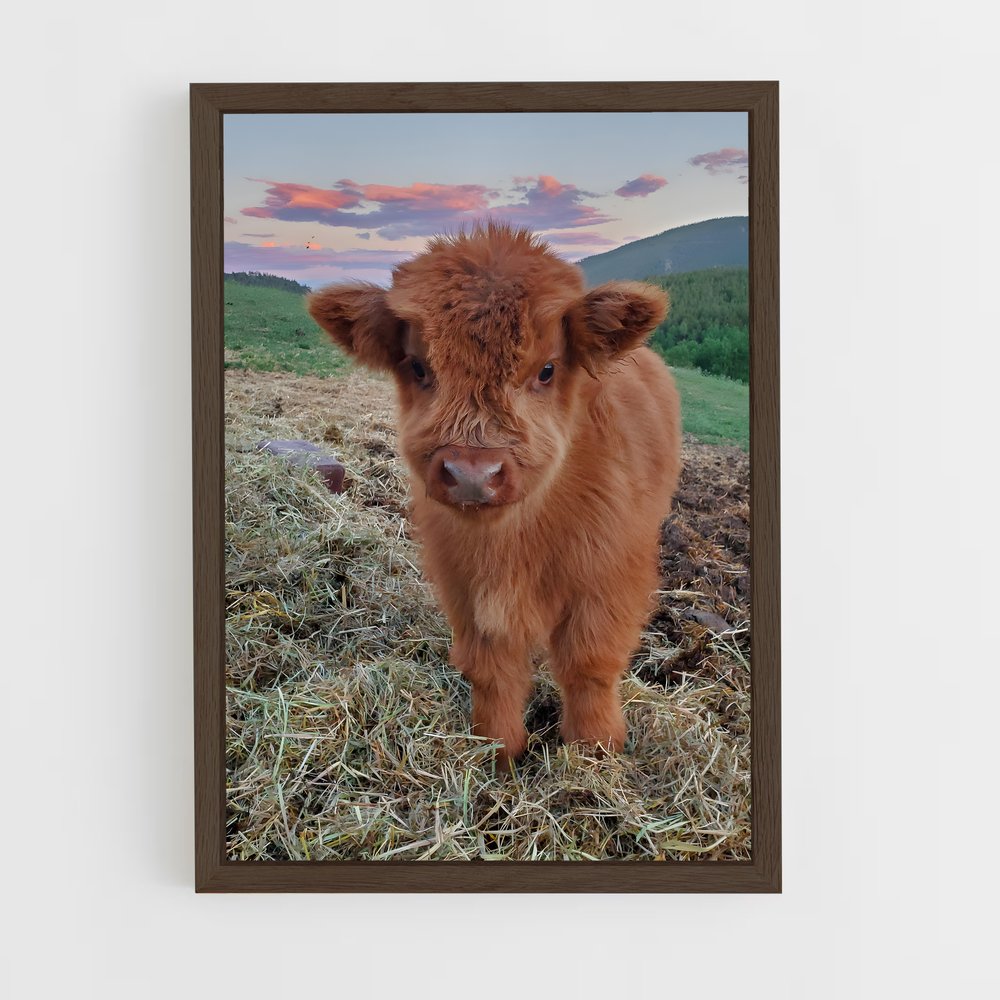 ap-calf-1 cadre Bois foncé