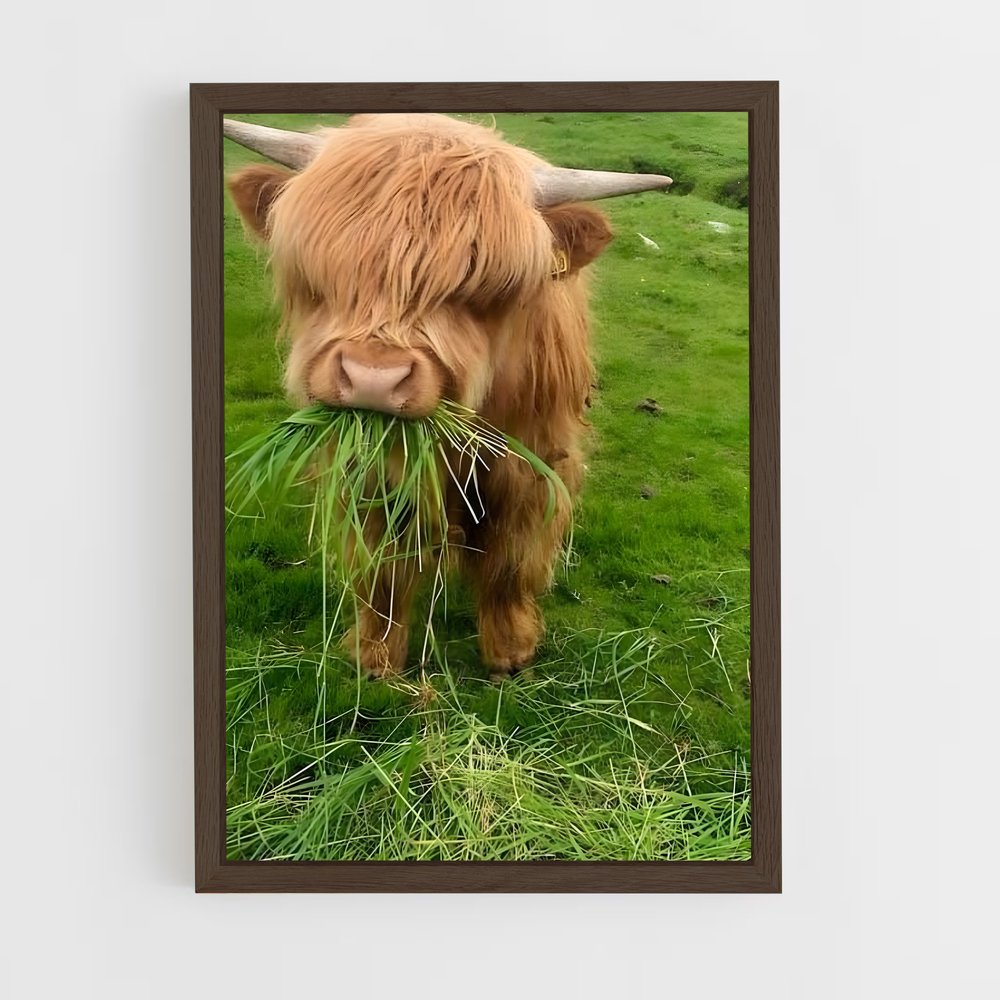 ap-calf-2 cadre Bois foncé
