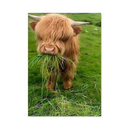 Poster La Vache des Highlands