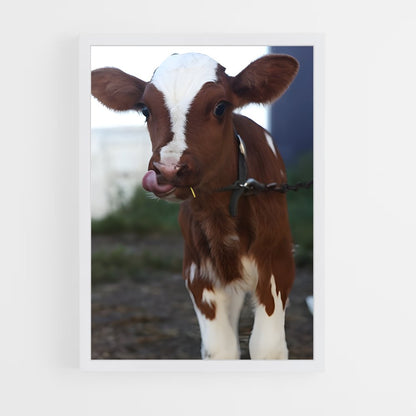ap-calf-6 cadre Blanc