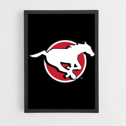 ap-calgary stampeders-1 cadre Noir