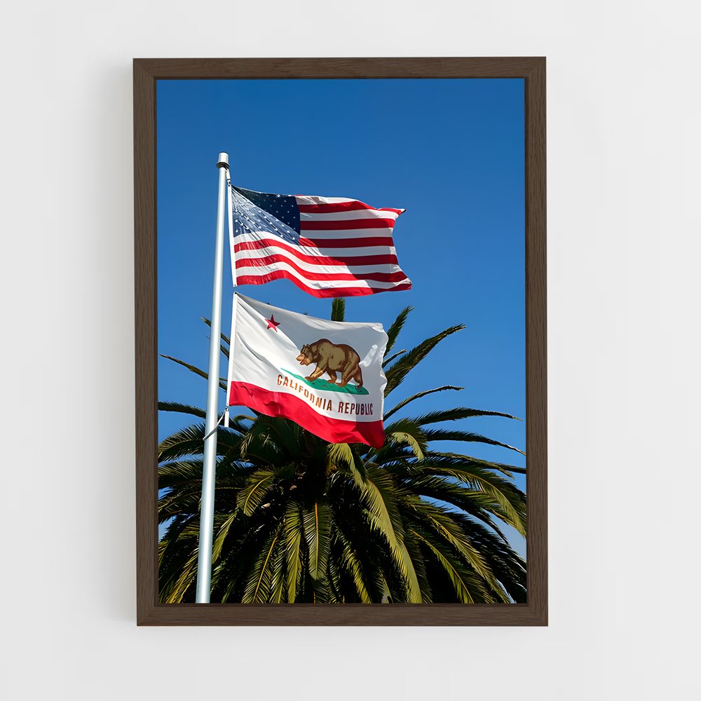 ap-california republic flag-3 cadre Bois foncé