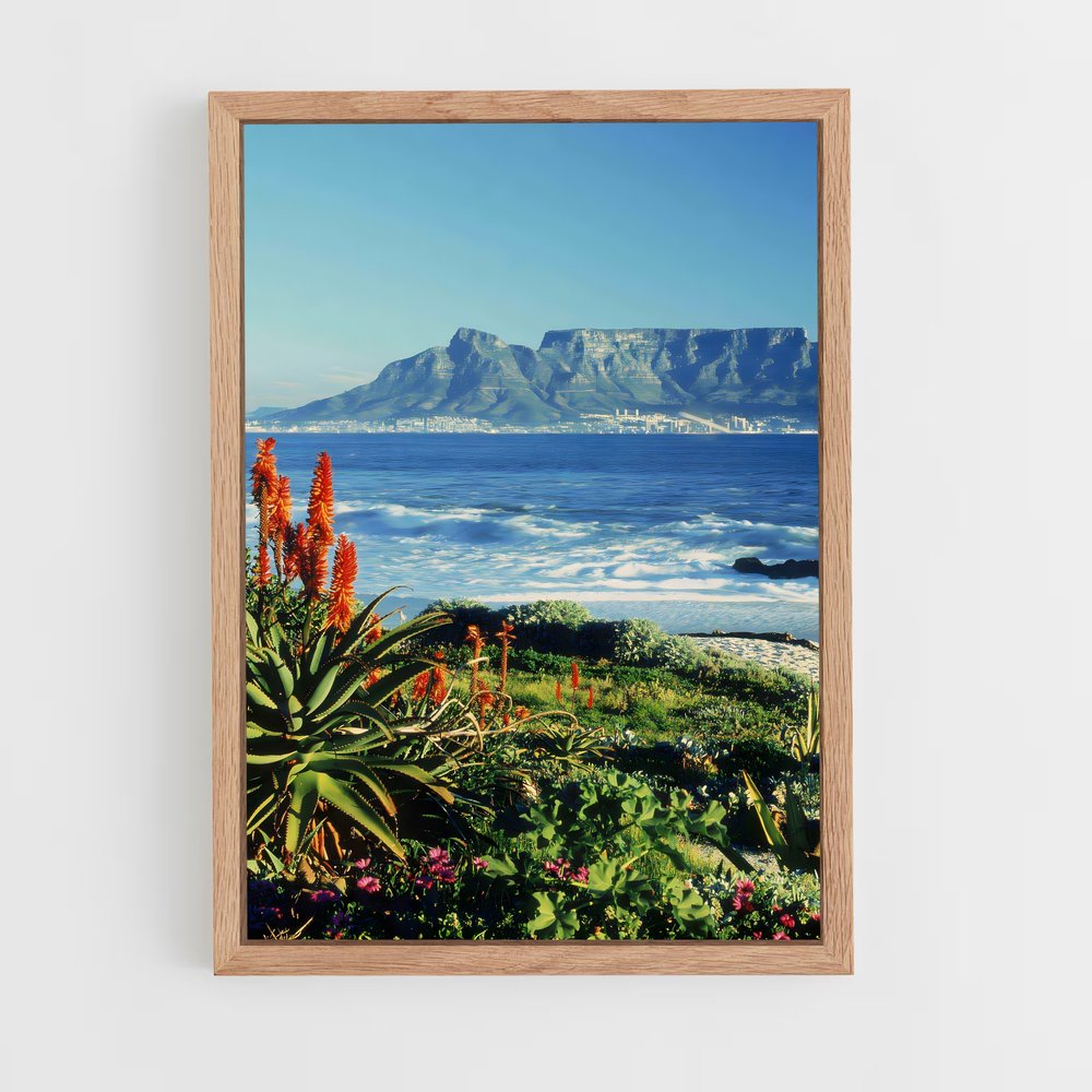 ap-cape town-5 cadre Bois clair