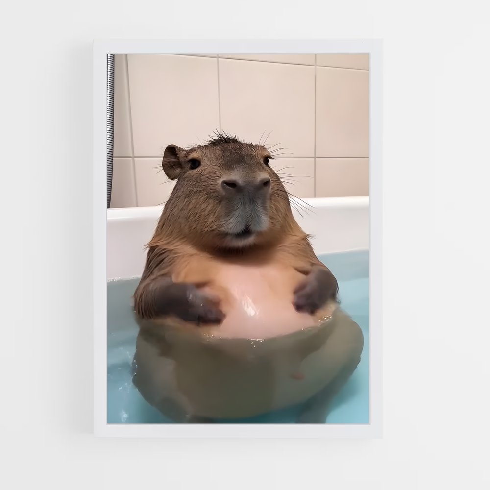 ap-capybara-2 cadre Blanc