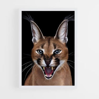 ap-caracal-10 cadre Blanc