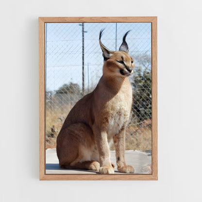 ap-caracal-2 cadre Bois clair