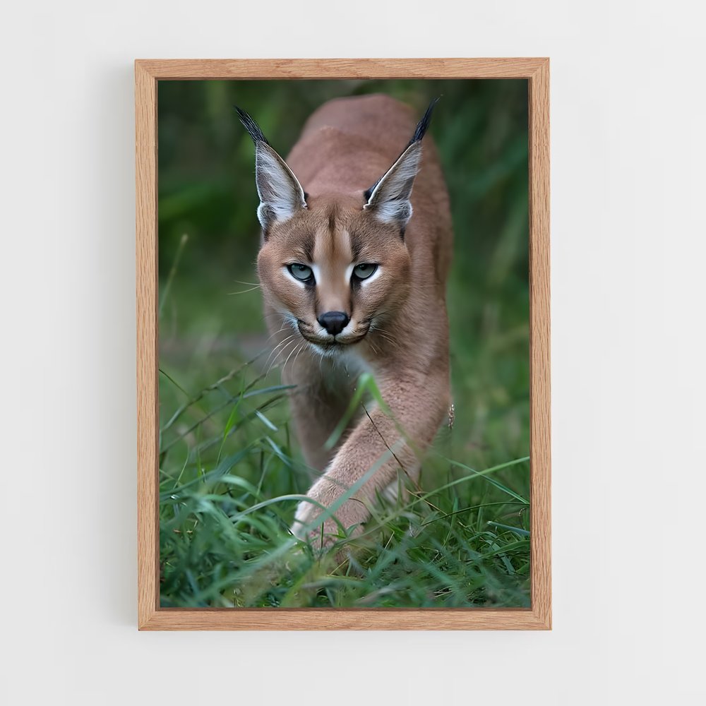 ap-caracal-6 cadre Bois clair