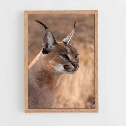 ap-caracal-7 cadre Bois clair