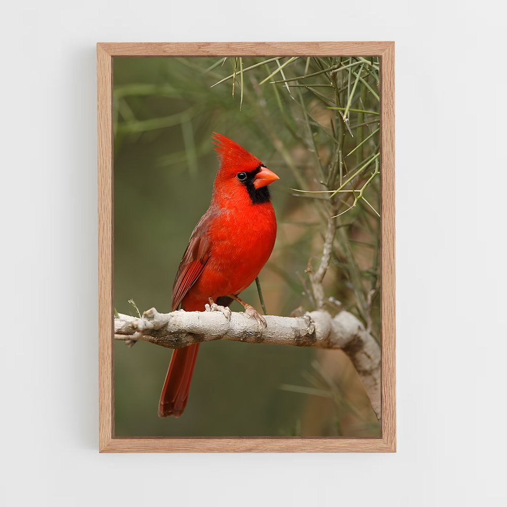 ap-cardinal-5 cadre Bois clair